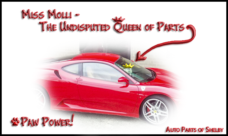 Molli - Queen of Parts